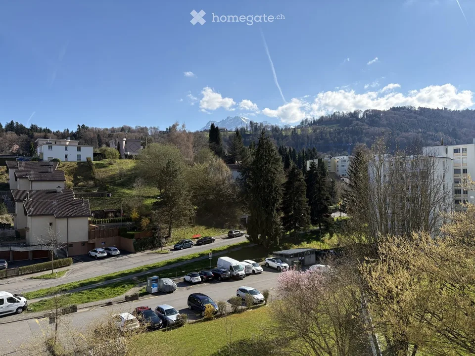 Renovated, modern 3.5-room apartment with balcony and garage in Lucerne at top location with a view