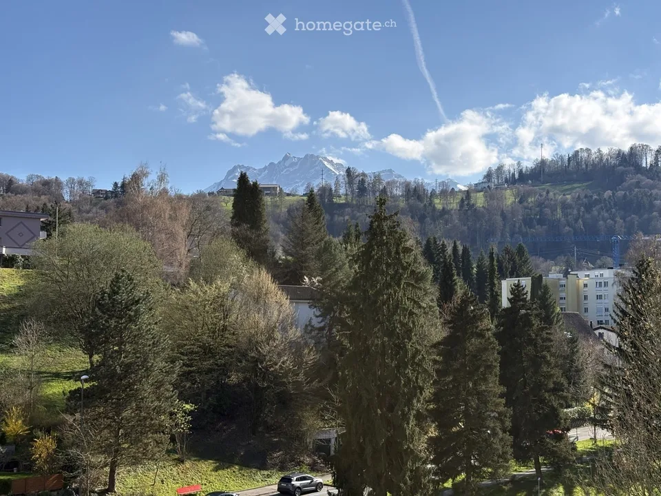 Renovated, modern 3.5-room apartment with balcony and garage in Lucerne at top location with a view