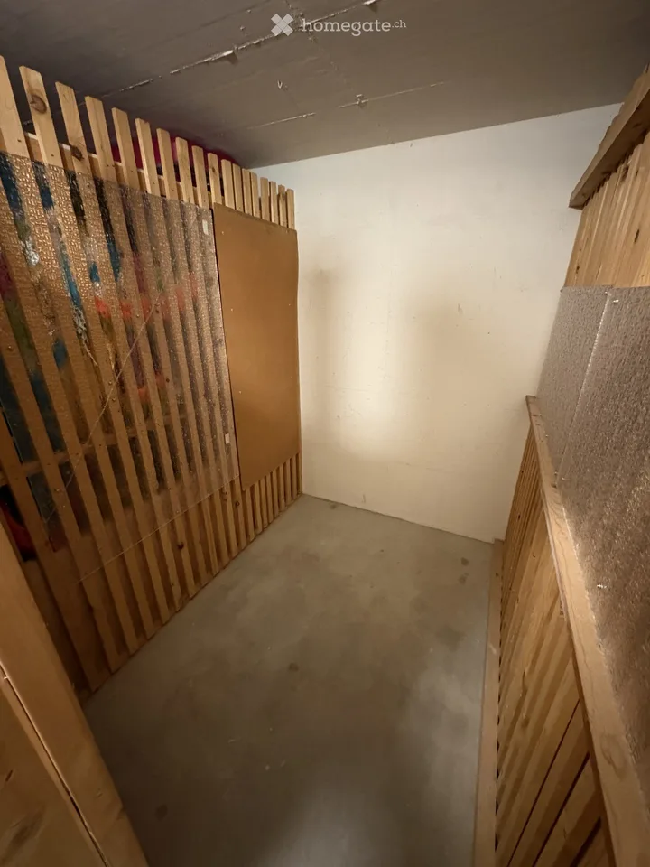 Renovated, modern 3.5-room apartment with balcony and garage in Lucerne at top location with a view