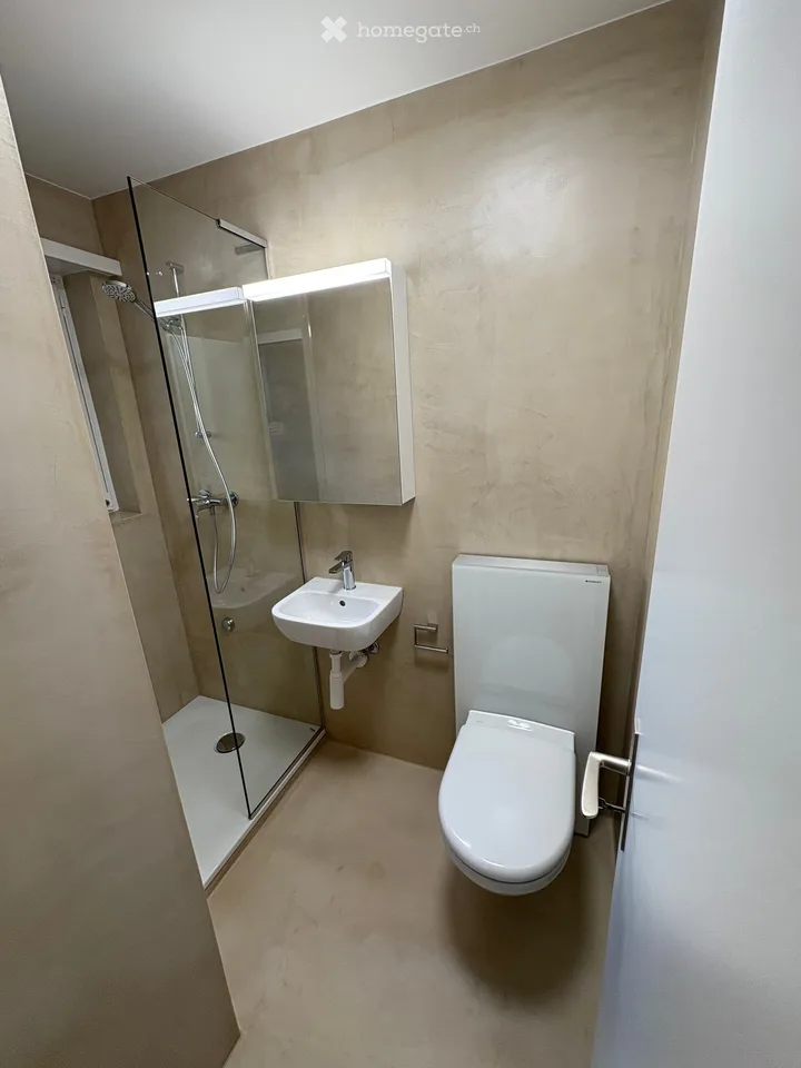 Renovated, quiet 3.5-room apartment in the village center, on the 1st floor (AAA location)