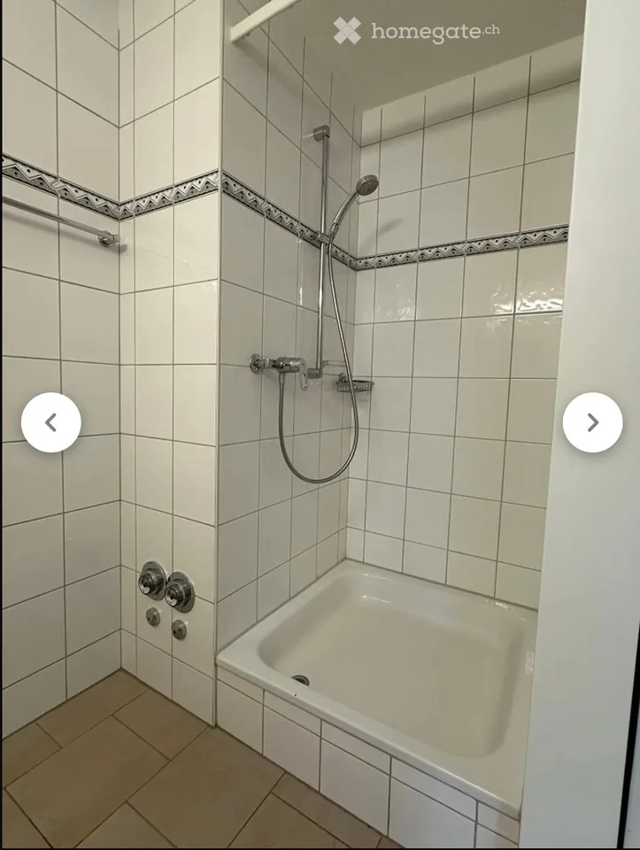 Wohnung in Winterthur