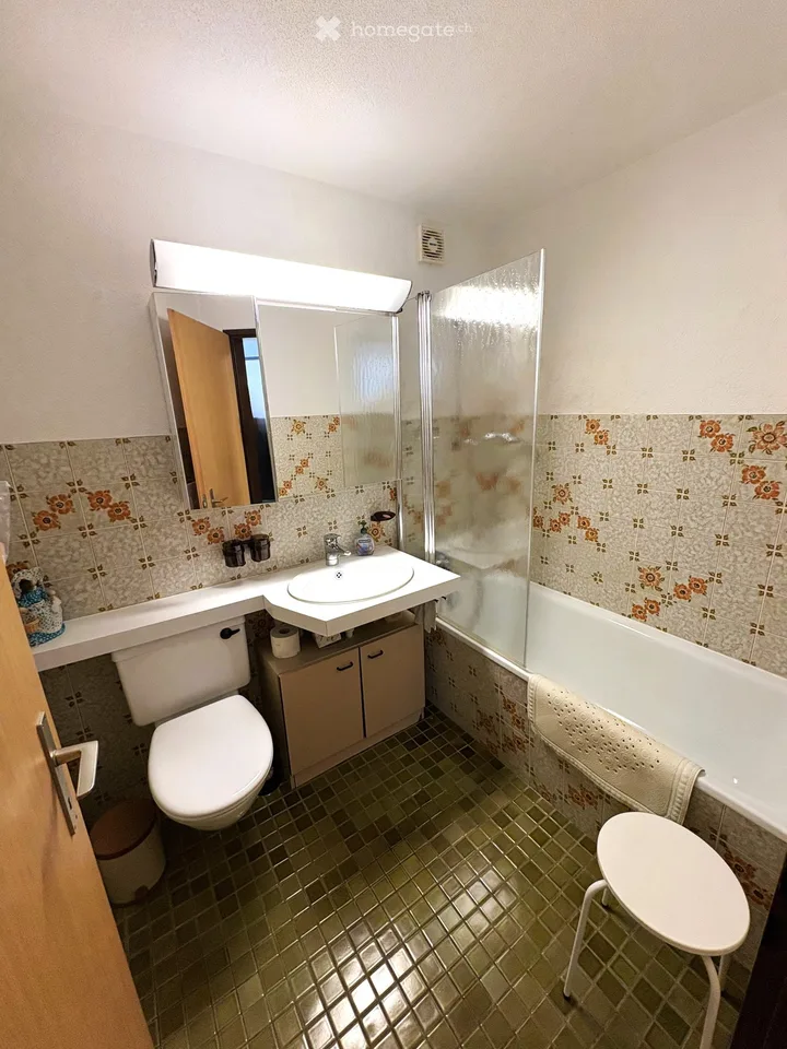 Beautiful 3.5-room holiday apartment for rent