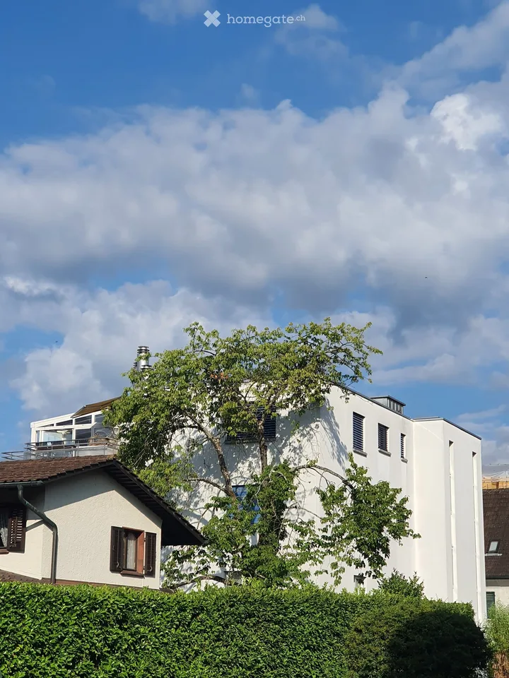 Charmant appartement de 4,5 pièces en mansarde à Wettingen – moderne, lumineux et accueillant les animaux!