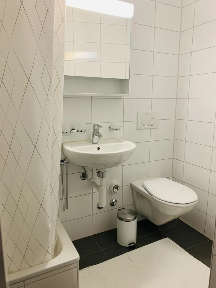 Furnished unit in city centre. All bedrooms facing the quiet back yard