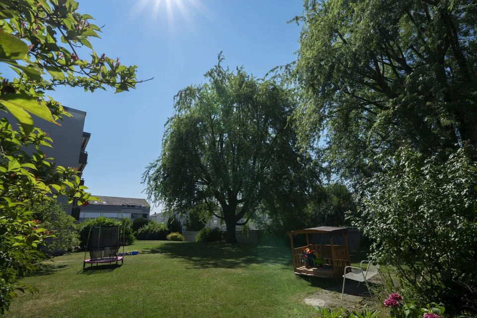moderne 1½-Zimmerwohnung zu vermieten