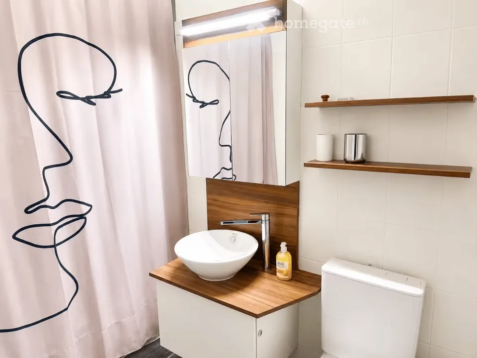 Charming 1.5-room apartment in Geneva – Rue de Lyon