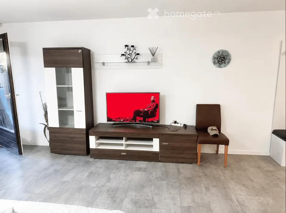 Charming 1.5-room apartment in Geneva – Rue de Lyon