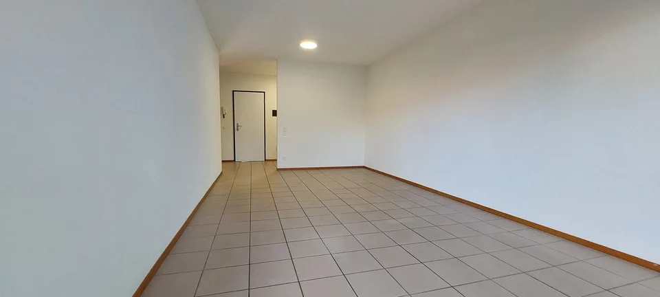 Camorino - 2 rooms with garden (ref. 155-5)