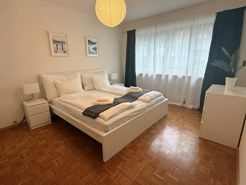 Charming 2-Room Furnished Apartment Near Basel University