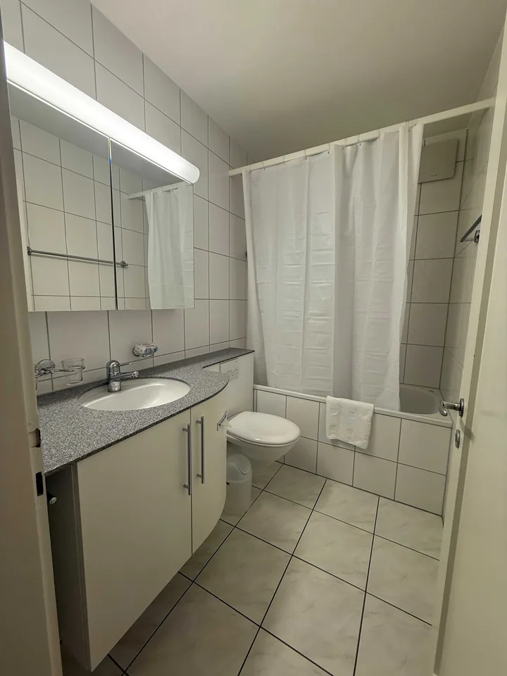 Charming 2-Room Furnished Apartment Near Basel University