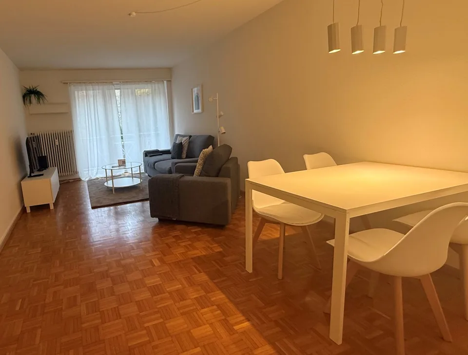 Charming 2-Room Furnished Apartment Near Basel University