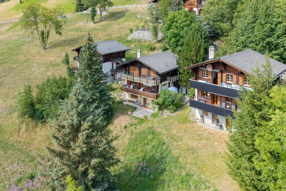 Appartement 3.5 pièces dans le Chalet Aux Etoiles à Bellwald