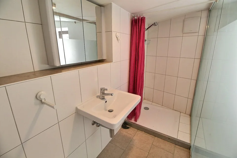 Grande maison en viager semi-occupé sans rente avec grand potentiel