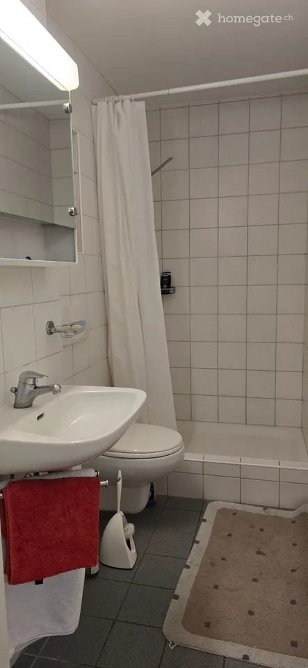 Furnished apartment