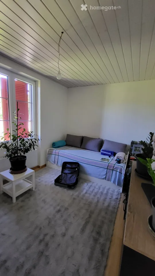 Wohnung zu renovieren