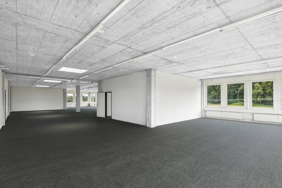 Spacious premises with a view of the green - Siloring Dintikon