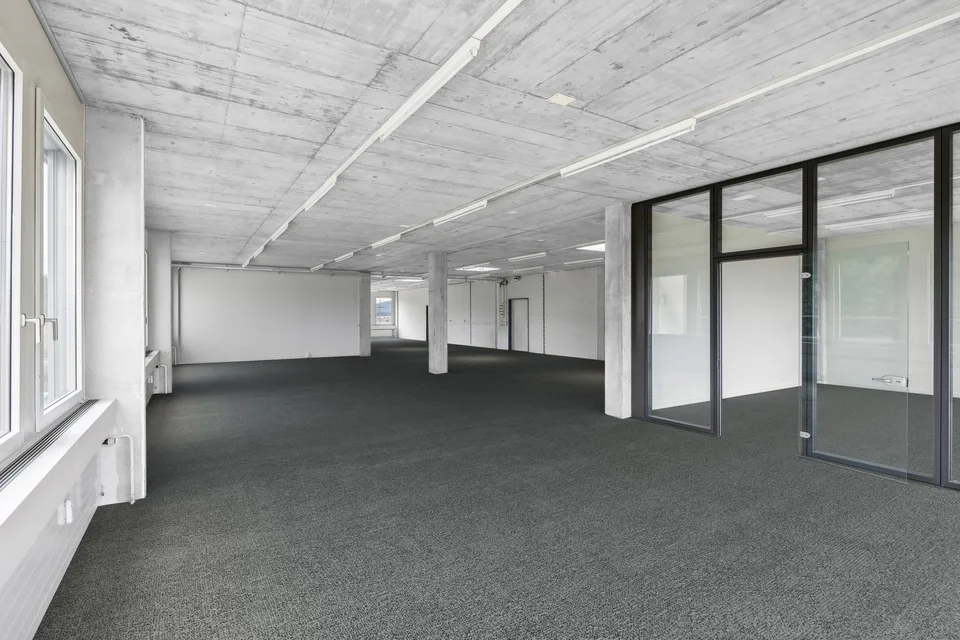 Spacious premises with a view of the green - Siloring Dintikon