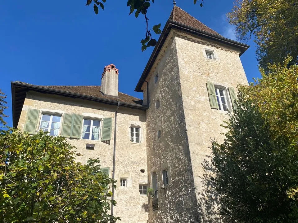 In der Nachbarschaft Frankreichs - eine Stunde von Genf entfernt. Zu verkaufen: prächtiges Schloss-