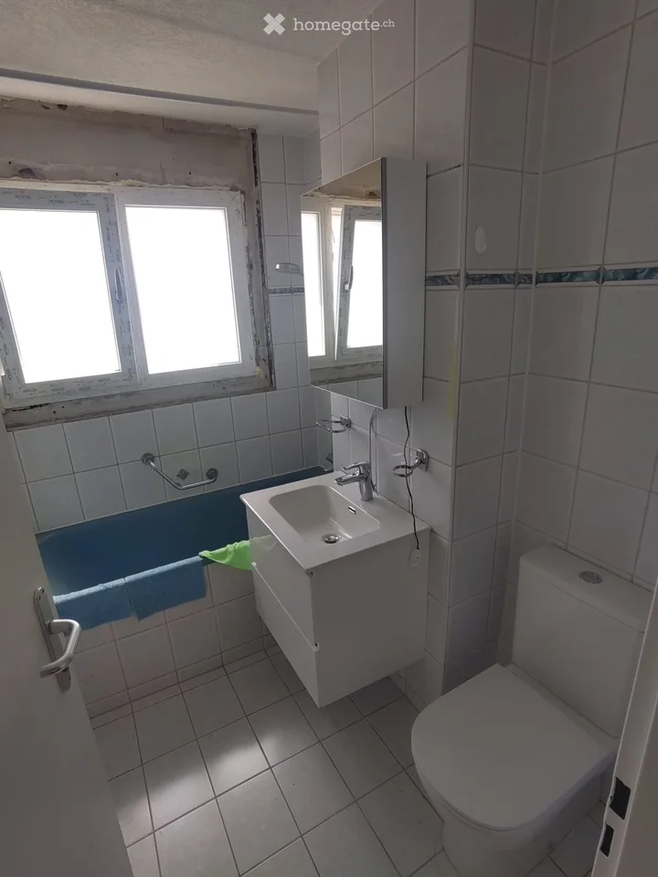 Helle 5.5-Zimmer-Wohnung in Lenzburg