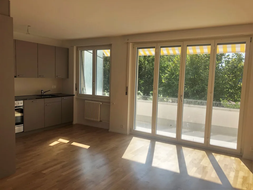 Appartamento ristrutturato con balcone e vista sul verde