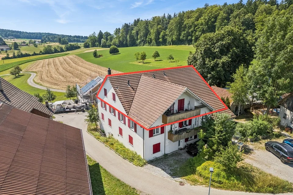 Naherholungsgebiet direkt vor der Haustüre - Grosse Dachwohnung umg...