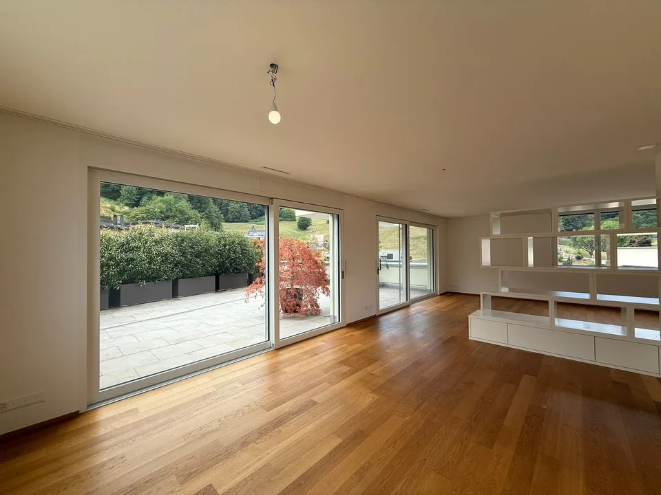 moderne 4.5-Zimmer-Attikawohnung im Bächlipark Wollerau