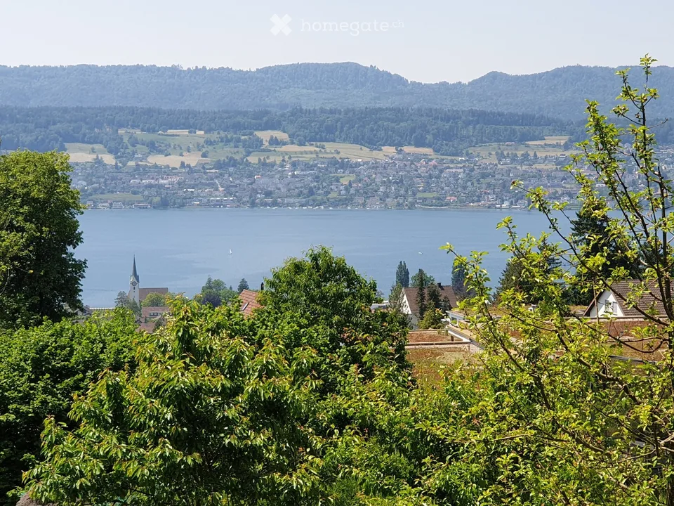 4.5 Zimmer Luxuswohnung in Herrliberg