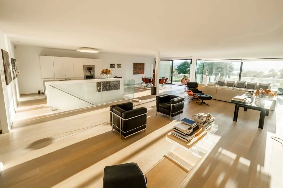 Grand appartement avec vue à Corsier