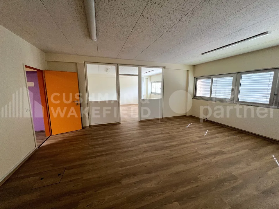 Atelier, showroom and offices - 940 m² | SATIGNY?ZIMEYSA