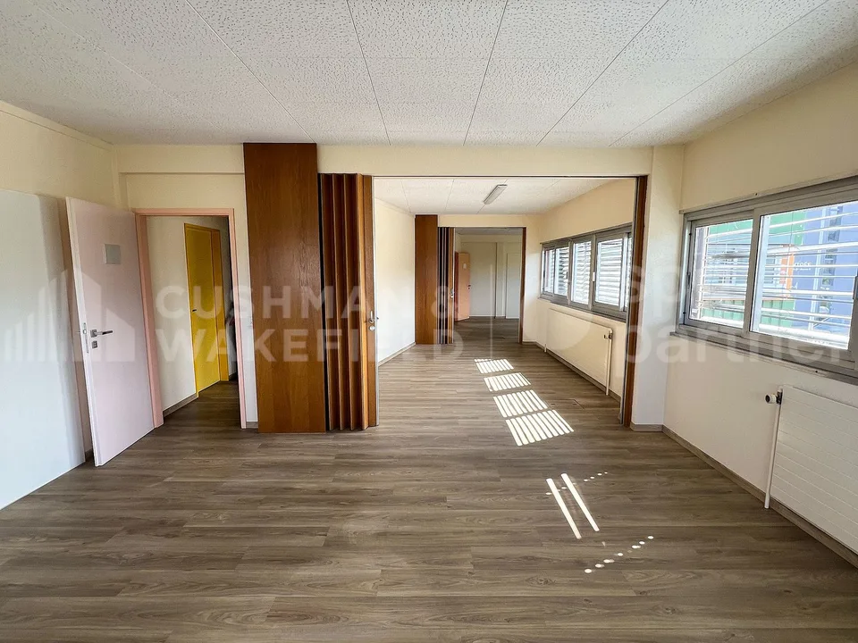 Mischfläche mit Sektionaltor - 940 m² | SATIGNY?ZIMEYSA