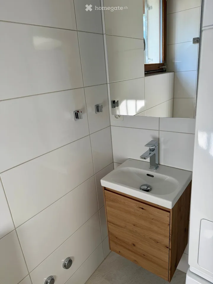 Premium-Wohnen in Ennetbaden: Loftartiges 3.5-Zimmer-Bijou mit Pool, Garten & Weitblick