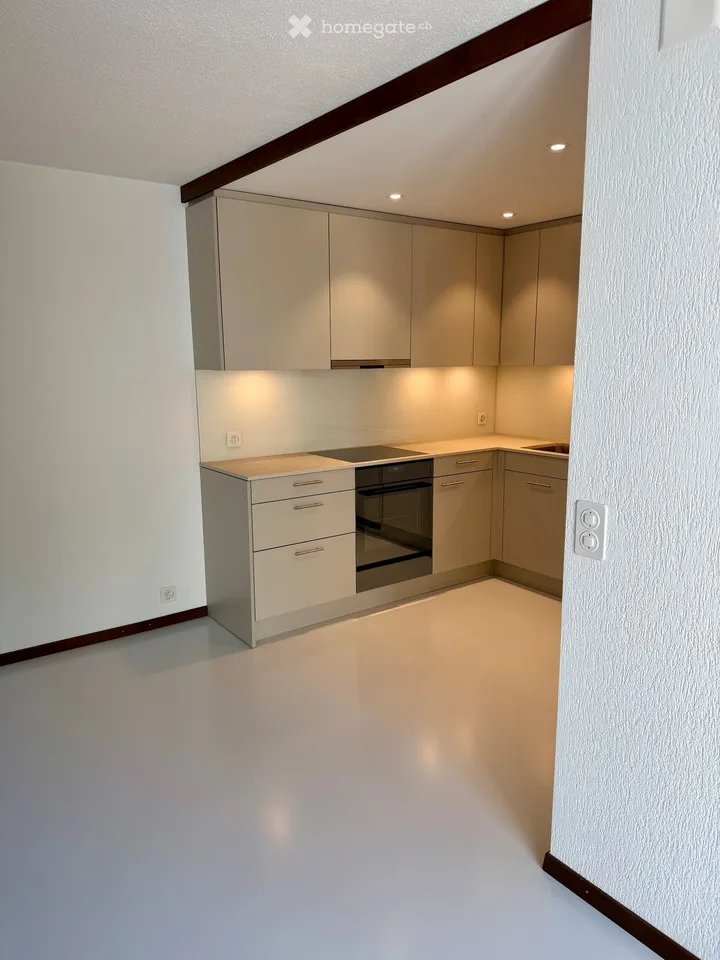 Premium-Wohnen in Ennetbaden: Loftartiges 3.5-Zimmer-Bijou mit Pool, Garten & Weitblick