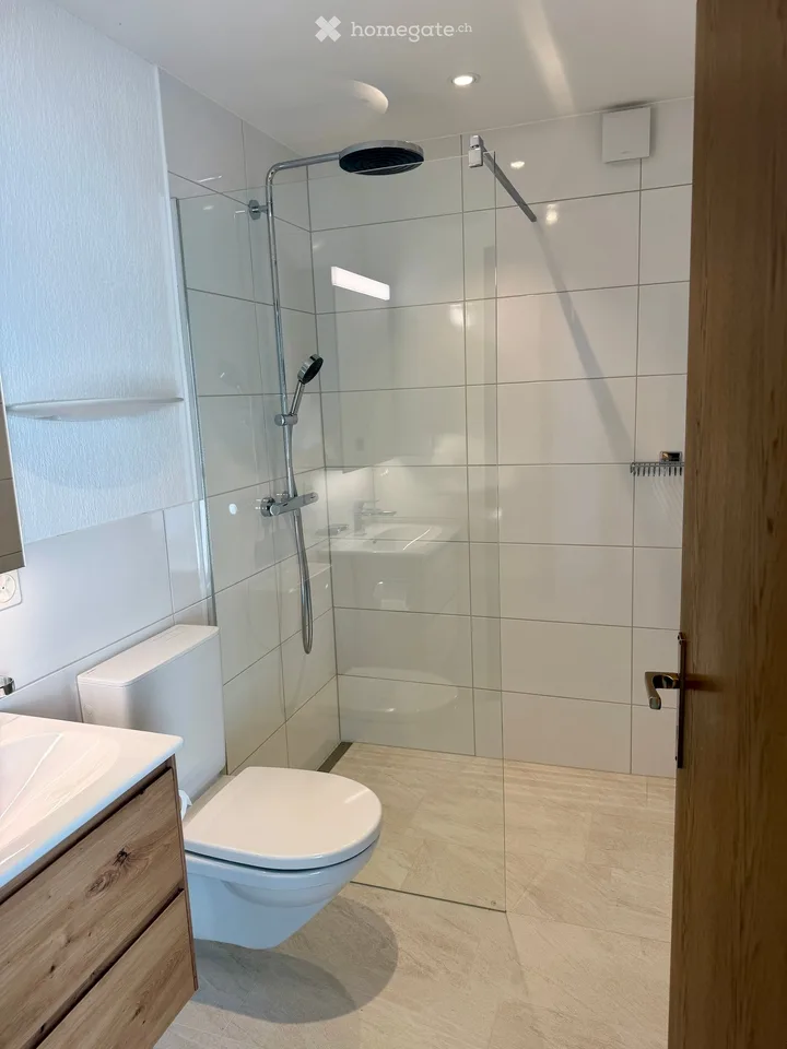Premium-Wohnen in Ennetbaden: Loftartiges 3.5-Zimmer-Bijou mit Pool, Garten & Weitblick