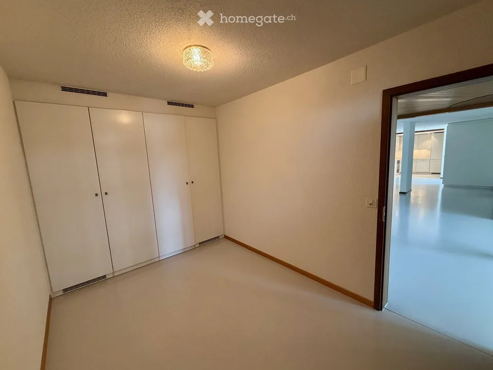 Premium-Wohnen in Ennetbaden: Loftartiges 3.5-Zimmer-Bijou mit Pool, Garten & Weitblick