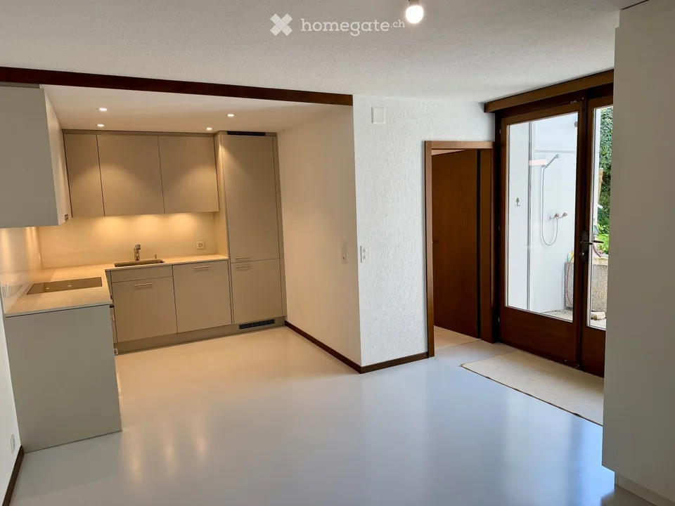 Premium-Wohnen in Ennetbaden: Loftartiges 3.5-Zimmer-Bijou mit Pool, Garten & Weitblick