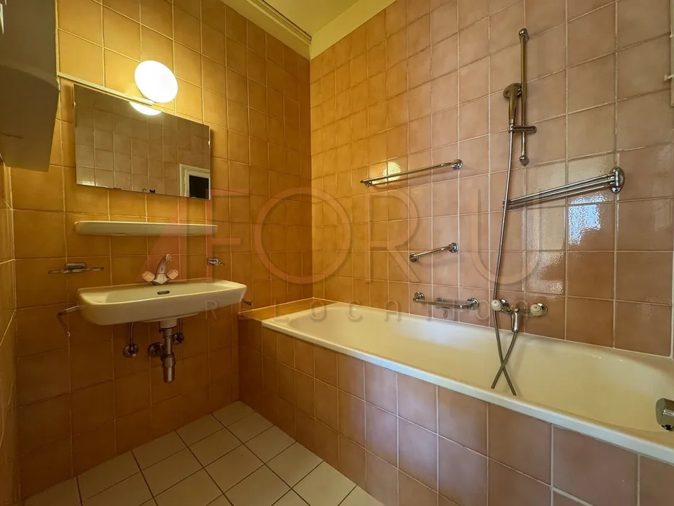 Bello appartamento di 4.5 locali agli Eaux-Vives (/!\ senza ascensore)