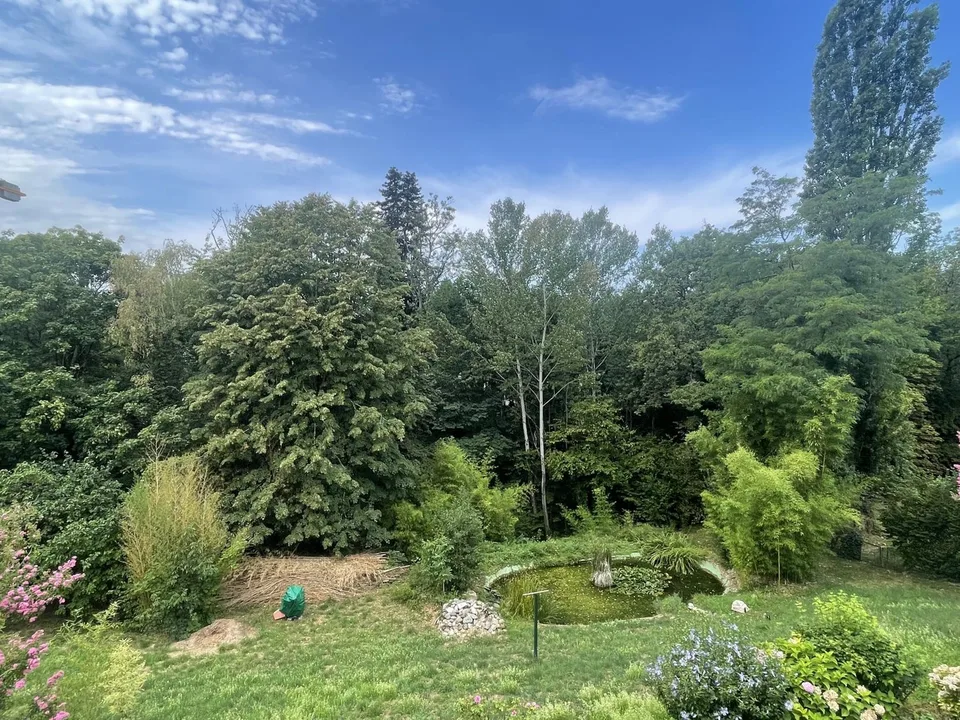 UNIQUE 3.5 ZIMMER WALDBLICK