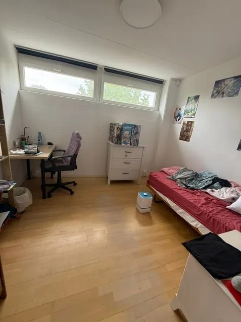 Grosse Wohnung / Loft Duplex zu vermieten in Nidau