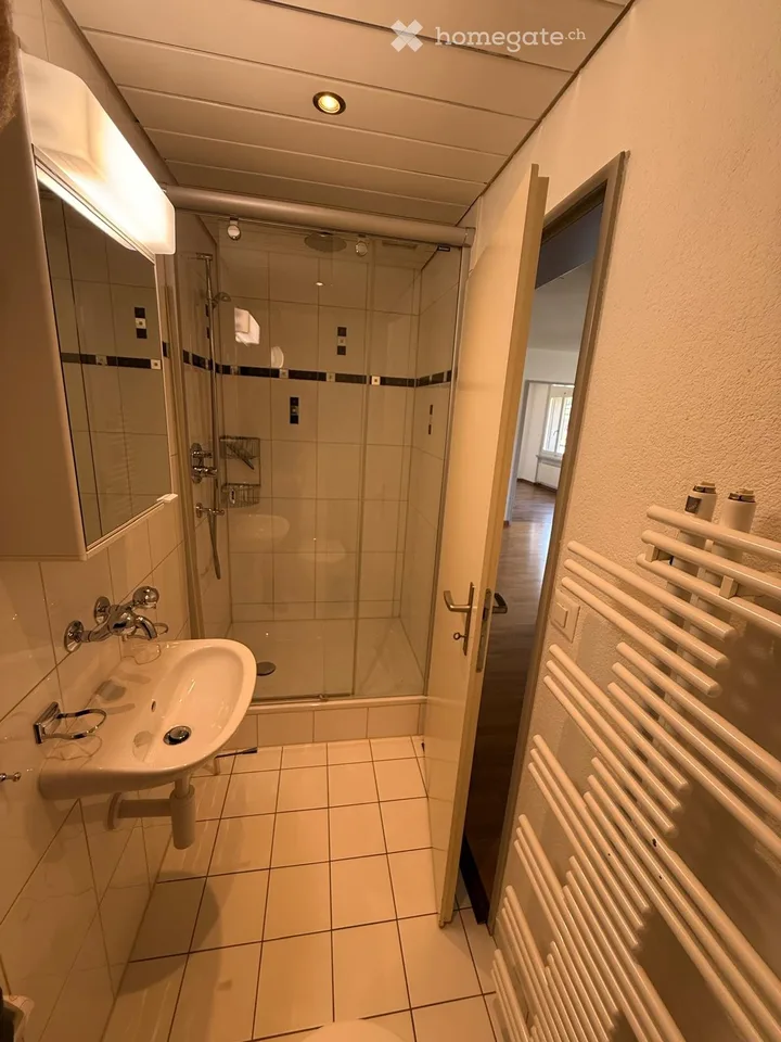 Appartement à Flumenthal