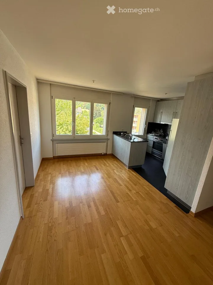 Appartement à Flumenthal