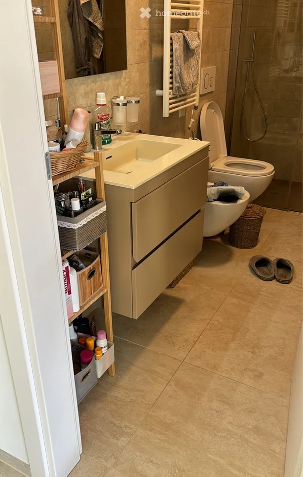 SEEKING Sublessee - 2.5 ROOMS WITH LAKE VIEW