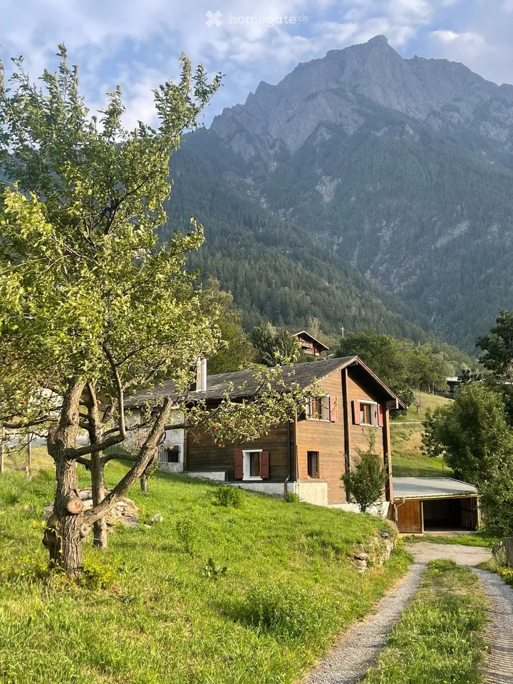 Einfamilienhaus im Grünen