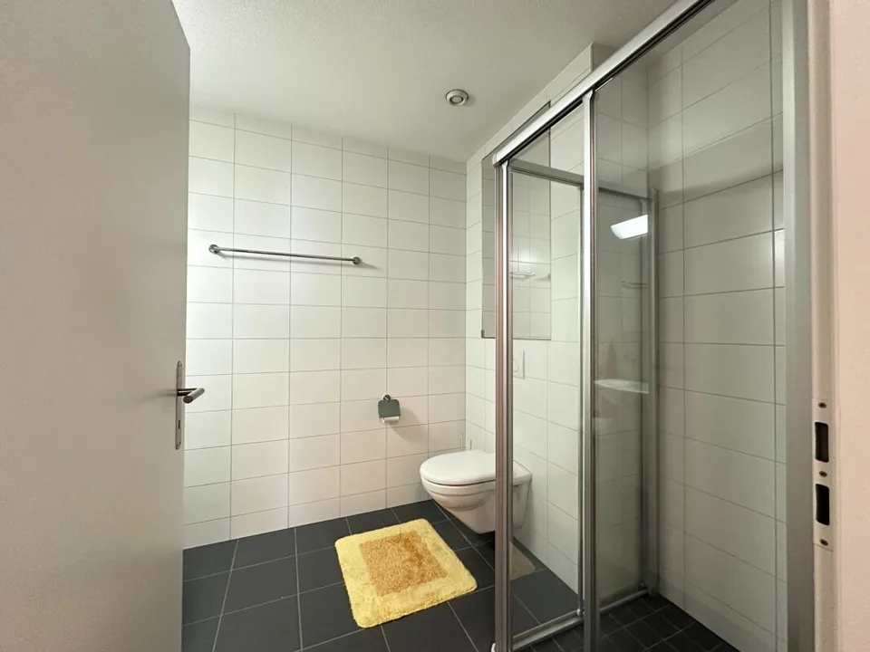 Appartamento in proprietà di 3½ locali in una zona residenziale centrale e tranquilla