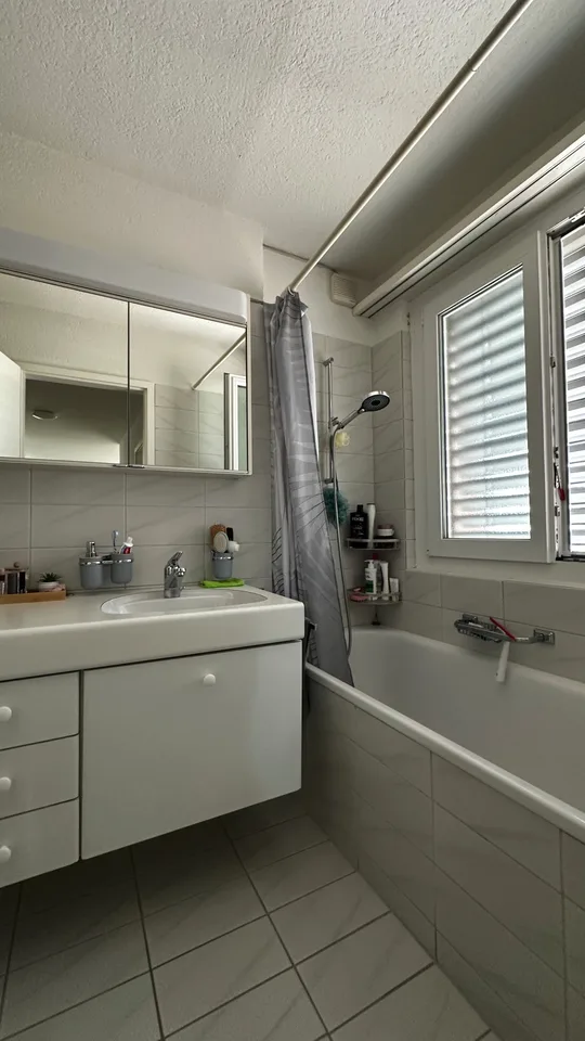 Appartamento di 3,5 locali in affitto a Otelfingen
