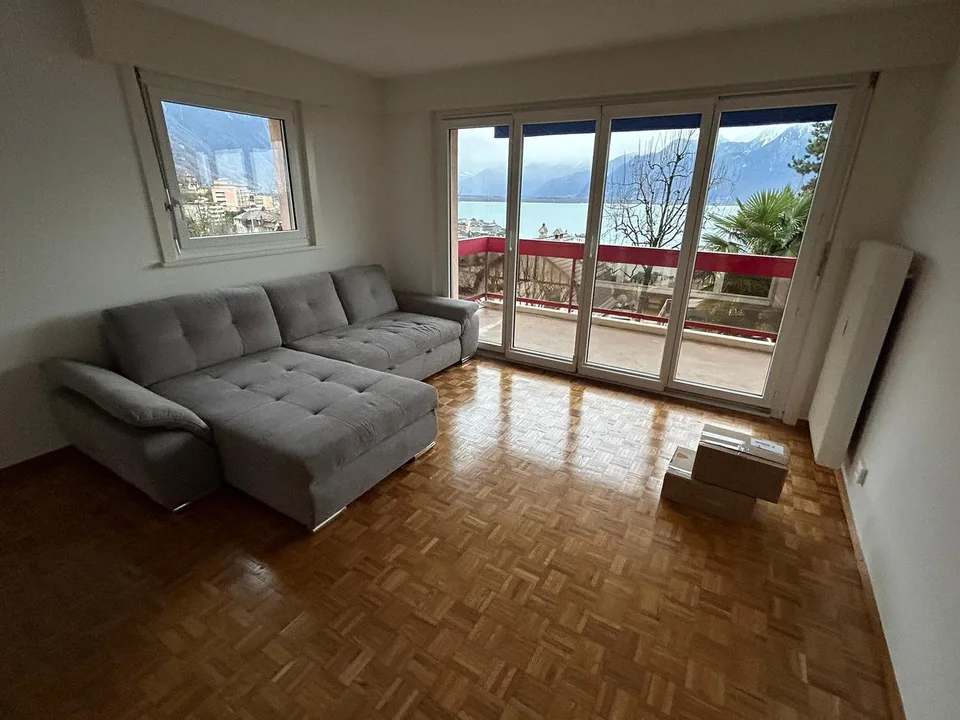 Bel appartement 2 pièces avec vue lac