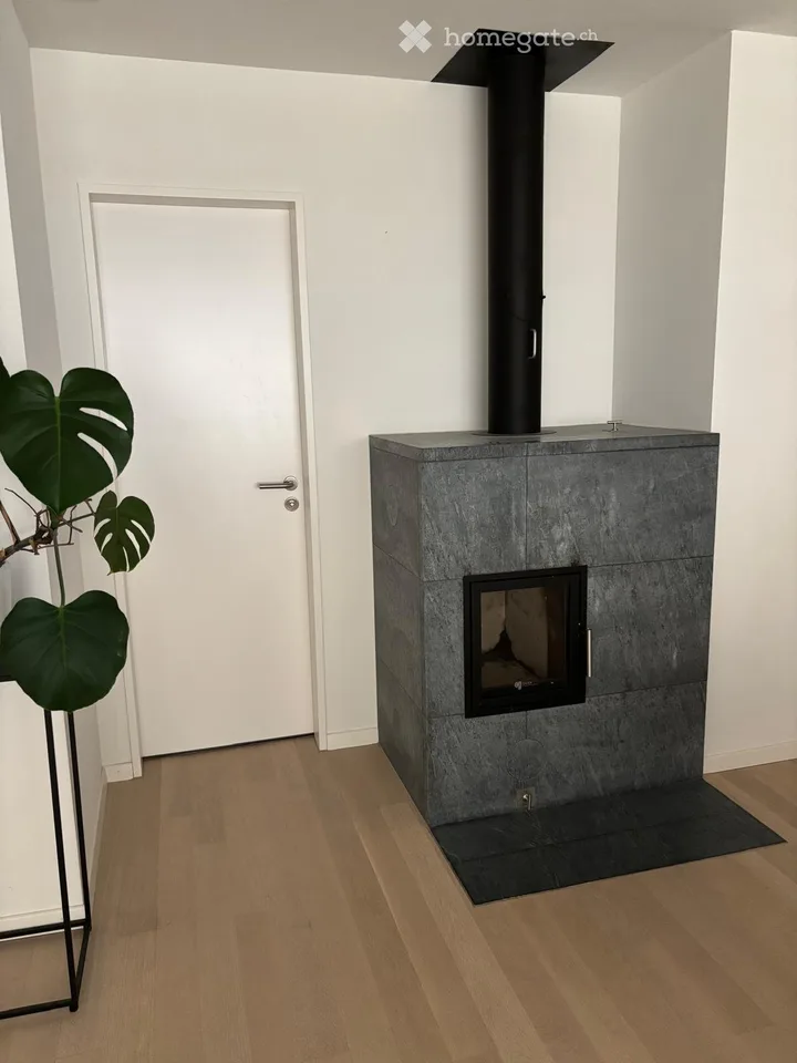 Charming 4.5-room terraced house with large roof garden in Beringen