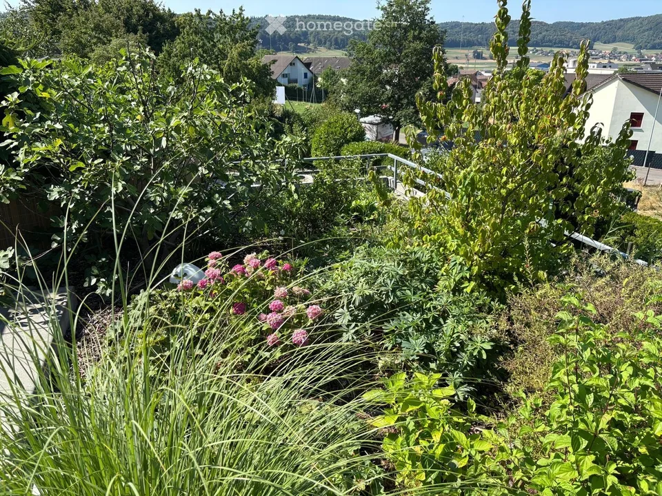 Charming 4.5-room terraced house with large roof garden in Beringen