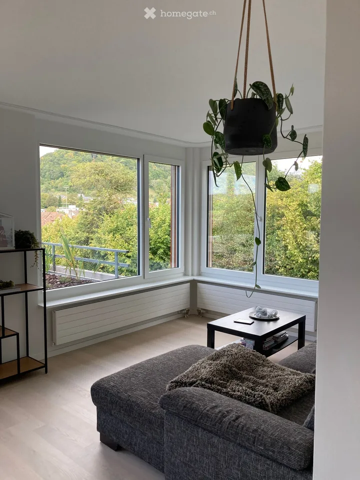 Charming 4.5-room terraced house with large roof garden in Beringen
