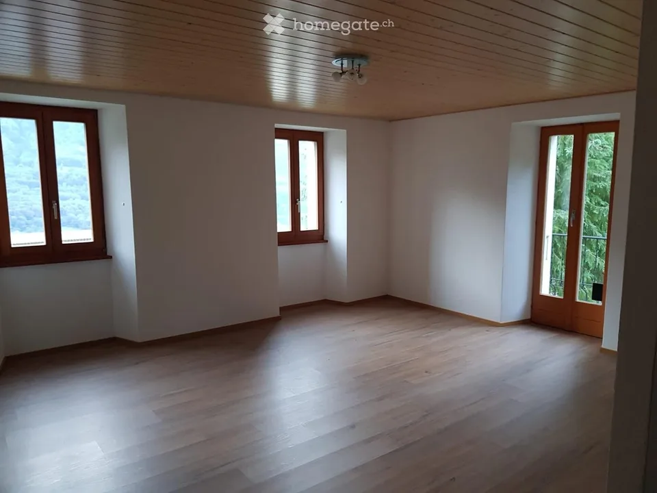 Mietwohnung 3,5 Zimmer renoviert