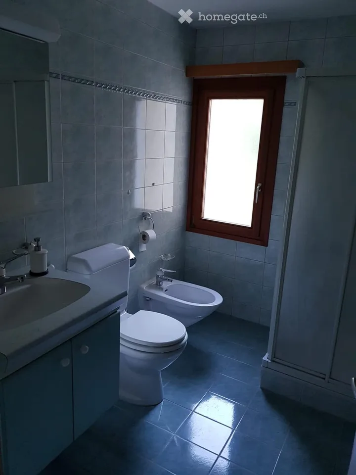 Mietwohnung 3,5 Zimmer renoviert